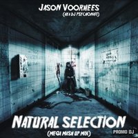 Jason Voorhees (aka DJ PSYCHONAFT) - Natural selection (MEGA MASH UP MIX)