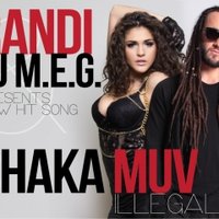 DJ M.E.G. - ft. SHAKA MUV - ILLEGAL