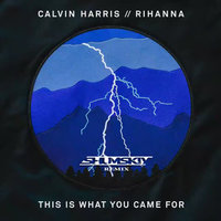 SHUMSKIY - Calvin Harris feat. Rihanna – This Is What You Came For (SHUMSKIY remix)
