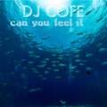 Dj Cofe - Can You Feel It