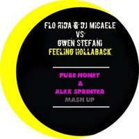 DJ ALEX SPRINTER - Flo Rida & Dj Micaele vs. Gwen Stefani - Feeling Hollaback (Pure Honey & Alex Sprinter Mash-up)