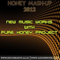 Dj Martin - Wolfgang Gartner & Sneaky Sound System - I will be here work (Pure Honey & Alex Sprinter Mash-up)