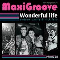 DJ YASHA STYLE - Maxigroove - Wonderful Life (Yasha ladanov remix)