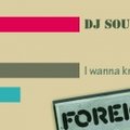 DJ SOUNDEXPRESS - I wanna know what love is