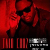 DJ NEON FLASH aka MC RUBiK - Taio Cruz - Hangover (Dj NEON FLASH mash-up)