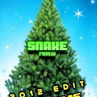Twinrise - Avicii - Levels (SNAKE Christmas 2012 Edit)
