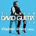 Vladimir Gross - David Guetta feat. Sia - Titanium (Vladimir Gross remix)