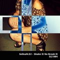SelivaN.DJ - Shake it no break it
