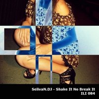 SelivaN.DJ - Stepwise destruction