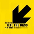 ElectroManiacs-fm - Dj Rubin - Feel The Bass ver.094 (19.05.12)