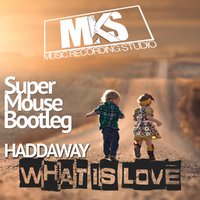 MKurgaev - Haddaway - What is love (Super Mouse Bootleg prod.MKURGAEV)