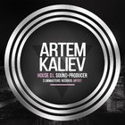 Artem Kaliev