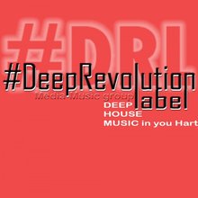 DeepRevolution Label