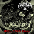 ENSLAVED – HORDANES LAND 2018 (BNM008LP) BY NORSE MUSIC/EU MINT (0885150700013)