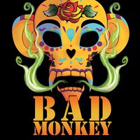 DJ OH_MAN - B.A.D.Monkey - Promo MiX 5