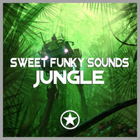 Sweet Funky Sounds - Jungle (Original Mix)