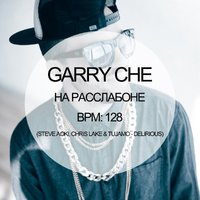 GARRY CHE - Garry Che - На расслабоне (Steve Aoki, Chris Lake & Tujamo feat. Kid Ink - Delirious)