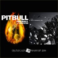 Dj Oleg Lev - Pitbull & John Ryan - Fireball & Dyro-Wolv(Oleg Lev Mash Up)