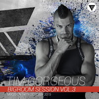 Tim Gorgeous - Tim Gorgeous - Big Room Session Vol.3 [Clubmasters Records]