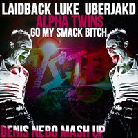 Denis Nebo - Laidback Luke  Uberjakd & Alpha Twins - Go My Smack Bitch (Denis Nebo Mash Up)