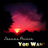 Laenas Prince - You Want (Original Mix)