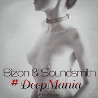 Soundsmith Project - Bizon & Soundsmith - #DeepMania
