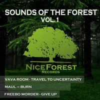 Nice Forest Records - VaVa Room - Travel to Uncertainty (Original Mix)[PREVIEW]