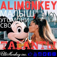 AliMonkey - Таланты