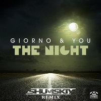 SHUMSKIY - The Night (SHUMSKIY remix)