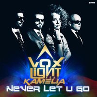 Anthony Pippaz - Voxlight Feat. Kamelia - Never Let U Go (Radio Edit)