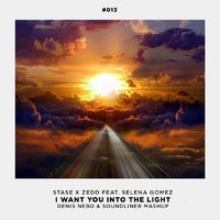 Denis Nebo - Stase X Zedd ft. Selena Gomez - I Want You Into the Light (Denis Nebo & Soundliner Mashup)