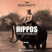 Shavaeff - Hippos (Original mix)