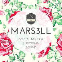 Mars3ll - Special Mix For ENDORPHIN SOUND