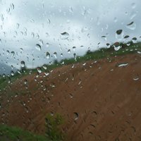 Runetreplys - Runetreplys-Rain