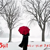 Dan Shi - Dan Shi - New year hits mix (007 mix)