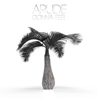 Arude - Arude - Gonna Feel (Original Mix)