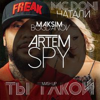 Artem Spy - Nataly & MC Doni Vs. Leo Burn & Alexx Slam - Ты Такой (Artem Spy & Maksim Bogdanov Mash Up)