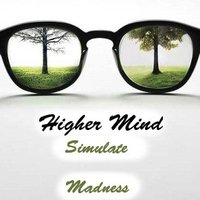 Higher Mind - Live @ Simulate Madness #015 (25.10.2015)
