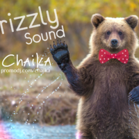 Dj Chaika - Dj Chaika - Grizzly Sound Mix