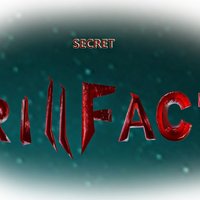 RILLFACT - SECRET