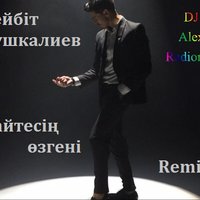 DJ Alex Radionow - Бейбіт Кушкалиев - Қайтесің өзгені (DJ Alex Radionow - Mash-up Remix 2015)