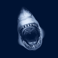Dj Shark - Feel the depth #001
