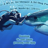 DJ AP - Акула & MY vs. DJ Shtopor & DJ Oleg Petroff - Такая Любовь (DJ AP Mash-Up) [2015]