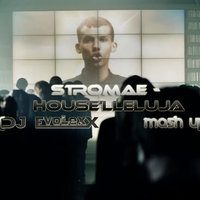 Dj EvoLexX - Stromae ft. Nick Kamarera & Chris Mayer Private - House'lleluja (Dj EvoLexX Mash Up)