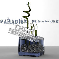 Serginio Chan - Paradise Pleasure