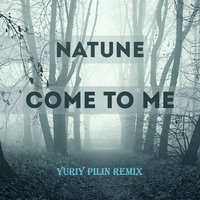 Yuriy Pilin - Come to me (Yuriy Pilin Remix)