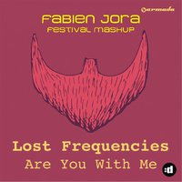 Fabien Jora - Lost Frequencies vs Tujamo - Are You With Me All Night (Fabien Jora Festival Mashup)