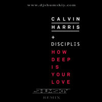 SHUMSKIY - Calvin Harris & Disciples - How Deep Is Your Love (SHUMSKIY remix)