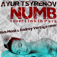 Dj Rich-Mond - Ayur Tsyrenov - Numb (Cover Linkin Park - Rich-Mond & Andrey Vertuga Remix)