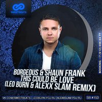 Leo Burn - Borgeous & Shaun Frank - This Could Be Love (Leo Burn & Alexx Slam Remix)